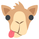 dromedary camel